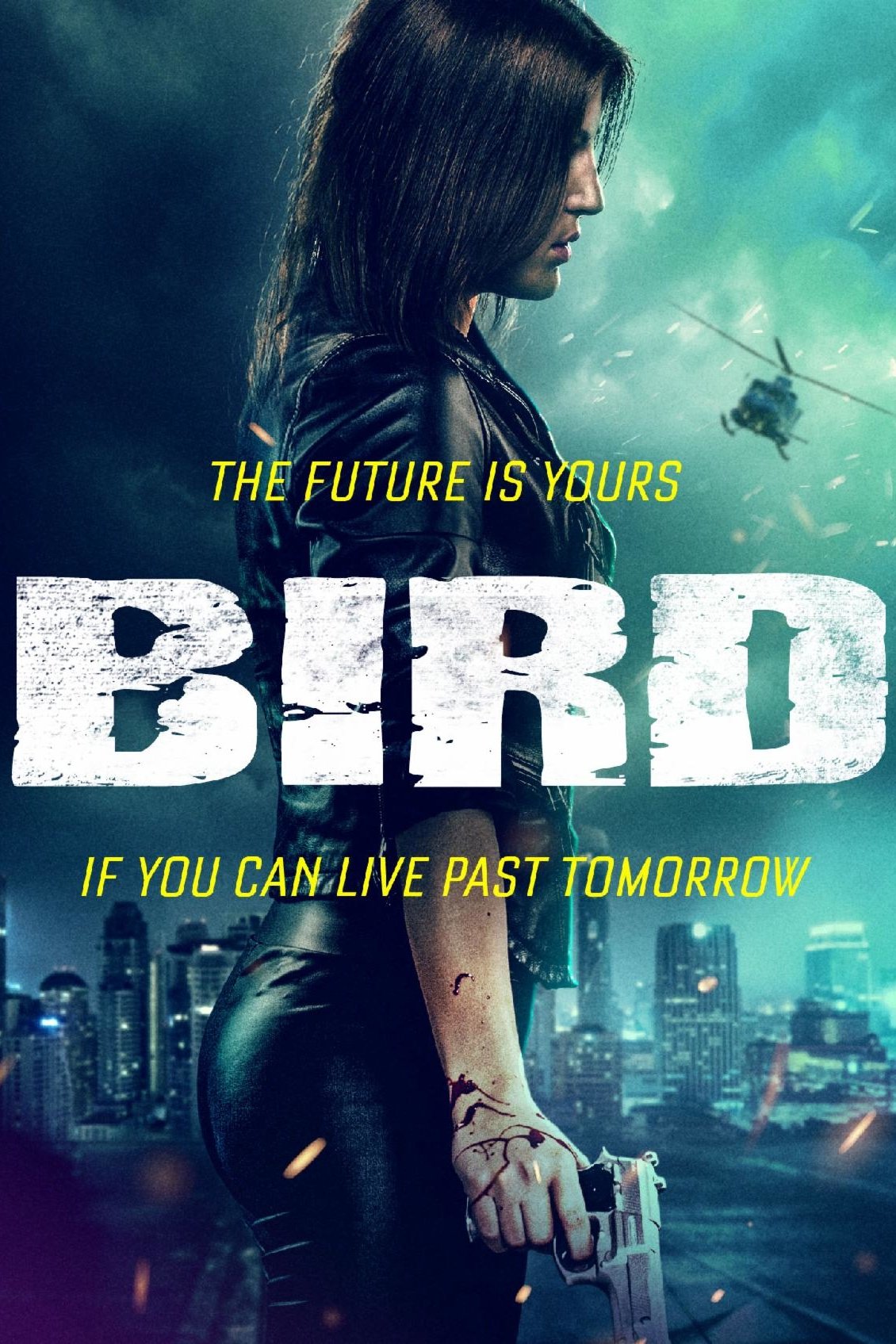 Bird poster
