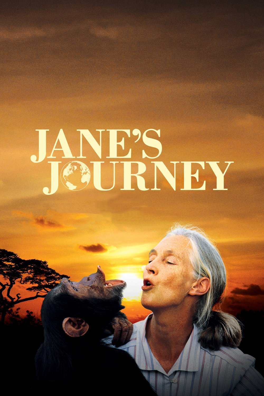 Jane's Journey poster
