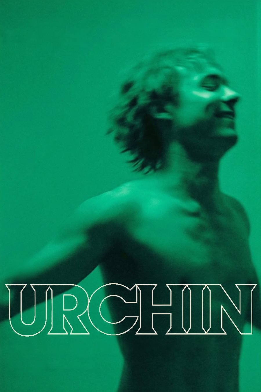 Urchin poster
